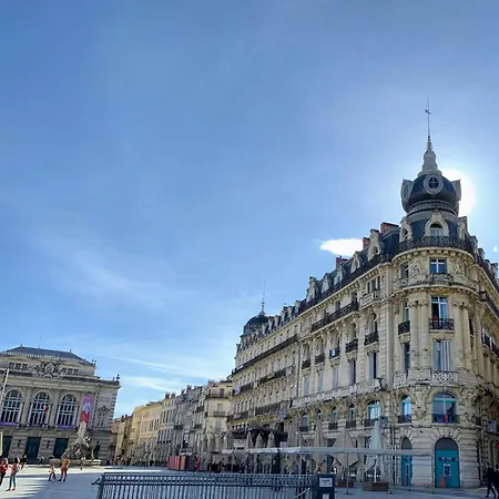 Chic - La Terrasse Bazille