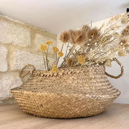Appartement Chic - La Terrasse Bazille *