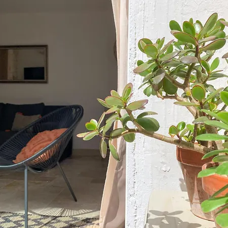 Chic - La Terrasse Bazille Appartement Montpellier