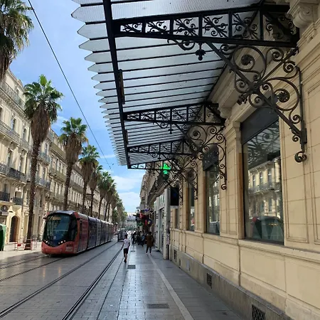 Chic - La Terrasse Bazille * Montpellier
